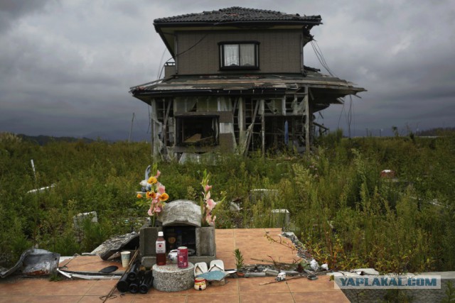 Разбитые жизни Фукусимы
