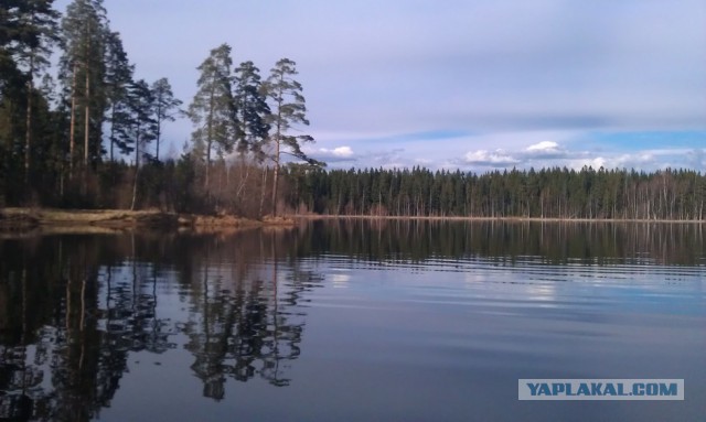 Поездка в Рощино. Заброшенный детский лагерь.