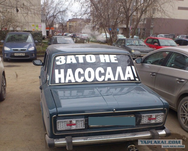 Я - тазовод!