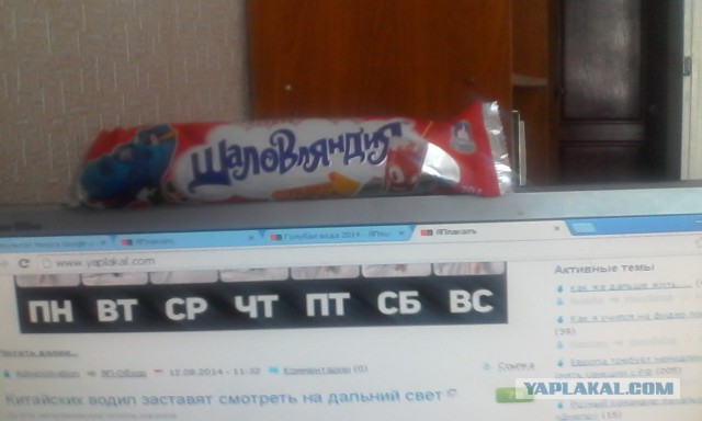 Хозяева жизни