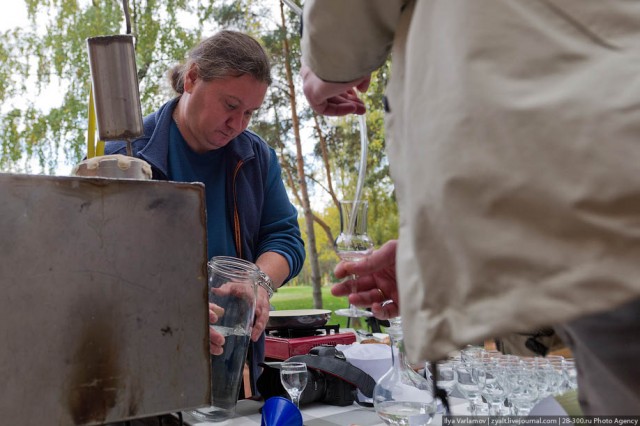 Алкосаммит "Самогонный Давос"