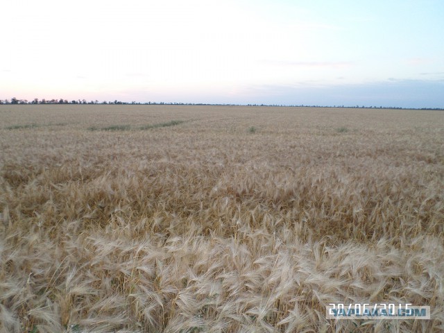 Из Казахстана в Армению через Россию