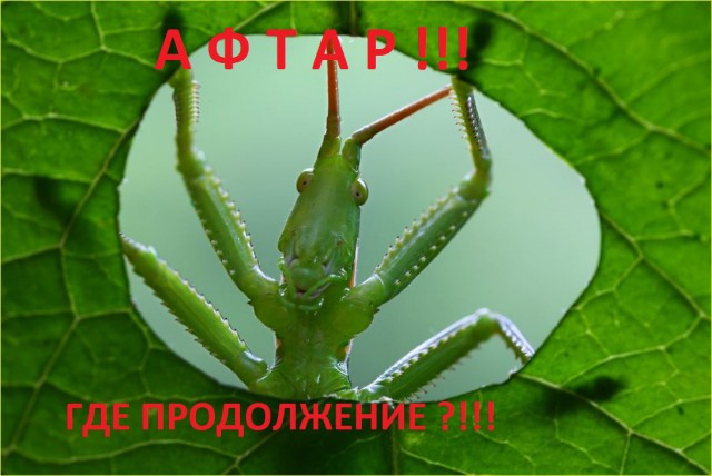 Нестандартный ЯПовчанин, привет Олеся!
