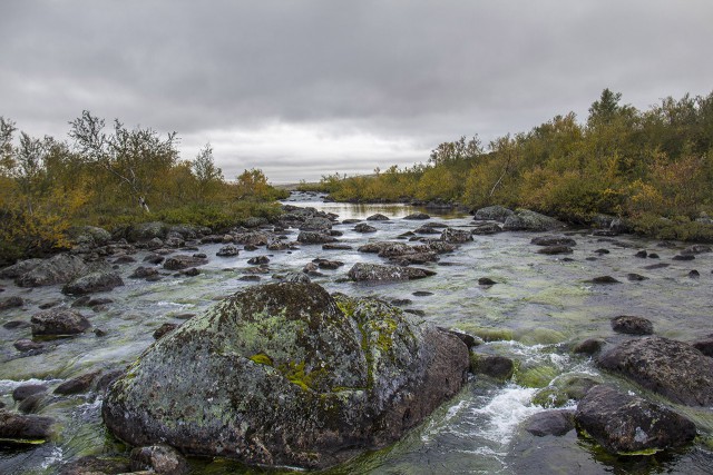 Поездка на Кольский полуостров.