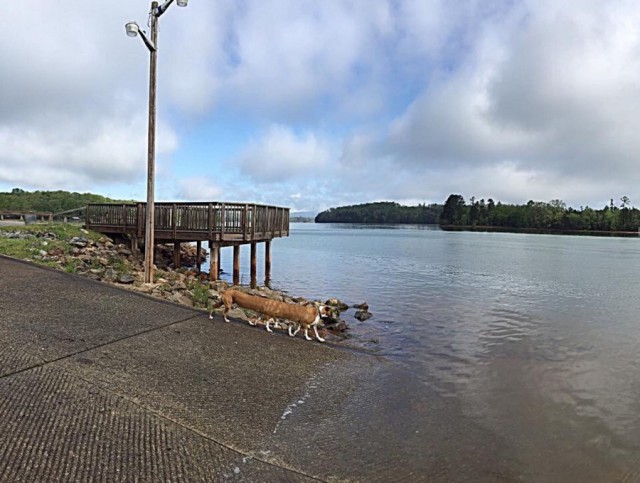Подборка интересных и прикольных фото