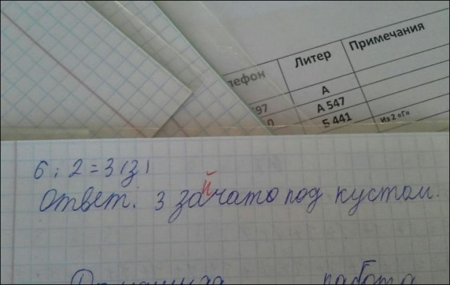 Проверяя задания, учителя плакали от смеха…