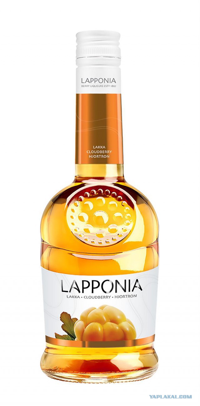 День рождения Кулинарии. Коктейльная вечеринка