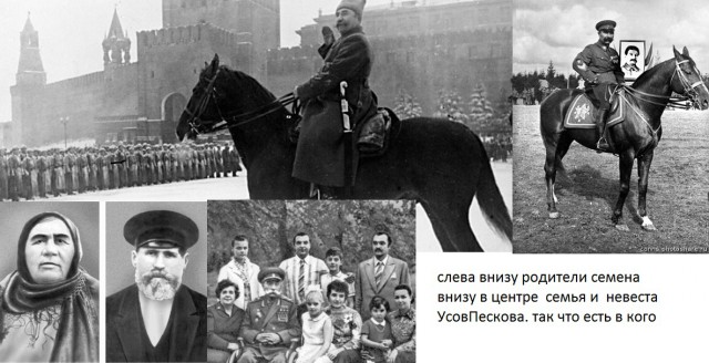 Сын Пескова прокомментировал расследование Алексея Навального