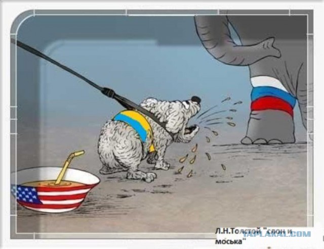 Шо Опять? Прямые трансляции майдана в Киеве