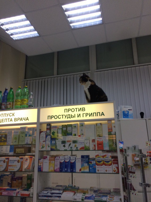 Приготовились?
