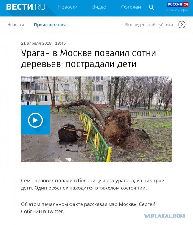 В Москве из-за шторма пострадали 12 человек