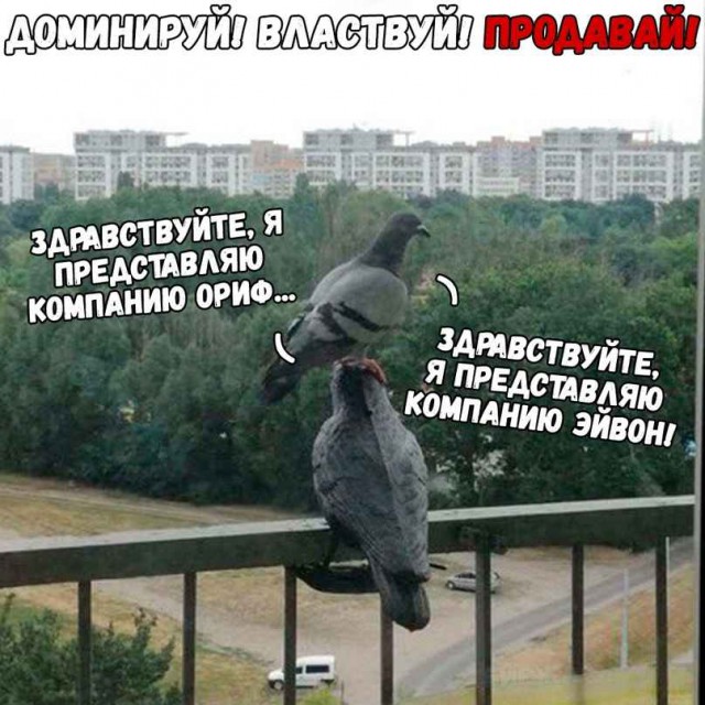 Не очень адекватный юмор