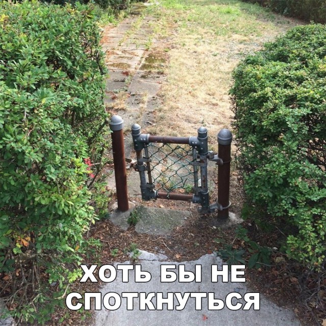 Нестандартный юмор