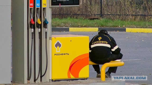 Роснефть посвятила школьников в "роснефтята". Газпром потом посвятит в "юных газиков"?