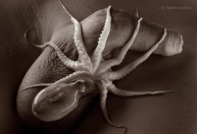 Зачем осьминоги это делают?!