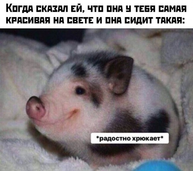 Картинки с надписями, истории и анекдоты 21.12.19