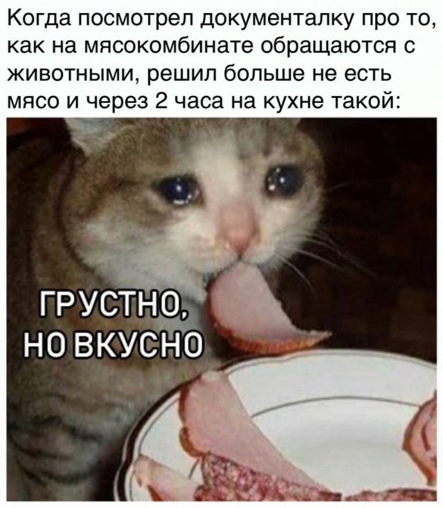 Немного картинок с надписями и без - 36