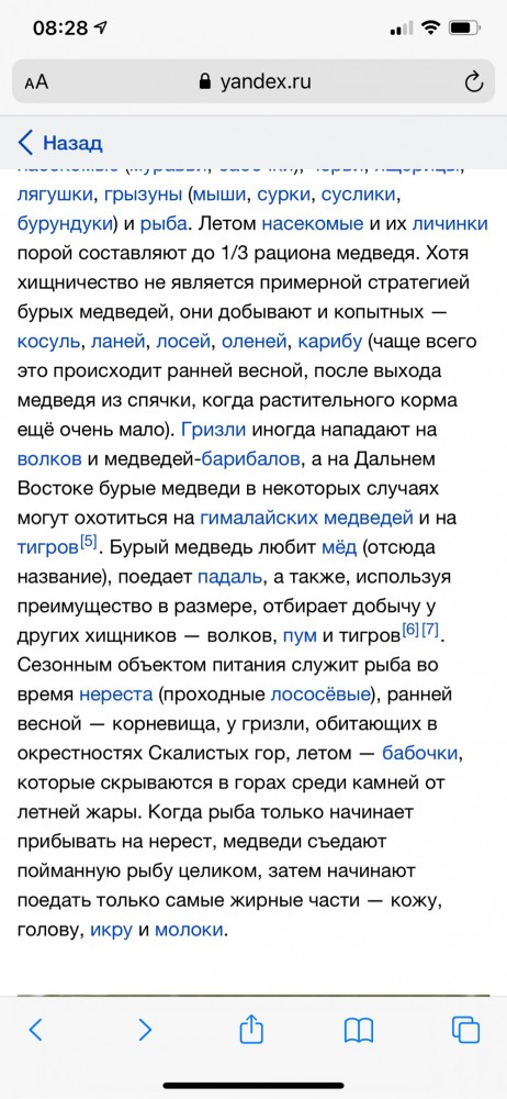 Мишаня и тигра