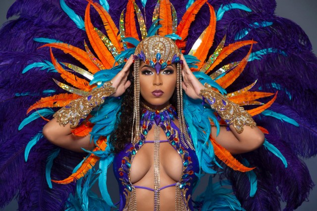 Карнавальных птичек пост