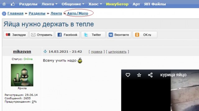 Яйца нужно держать в тепле