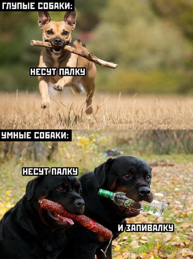 Всякие разные картинки 019