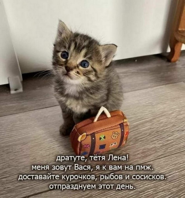 Картинки и мемы для настроения 21.10.21