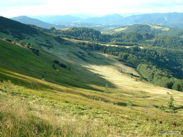 Карпаты, Закарпатье.