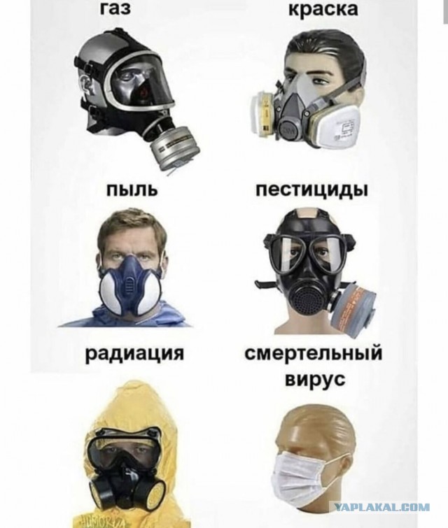 В Барнауле россиянина в противогазе отказались обслужить, поскольку он был без маски