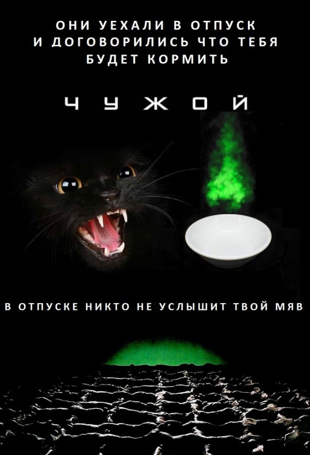 Чуток картинок 20.02.22