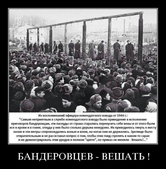 В ДНР раскрыли дальнейшую судьбу задержанных британских наемников