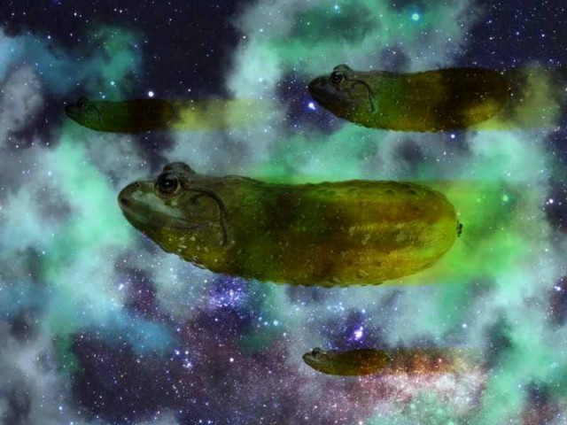 Пятничная Хня, для деградантов