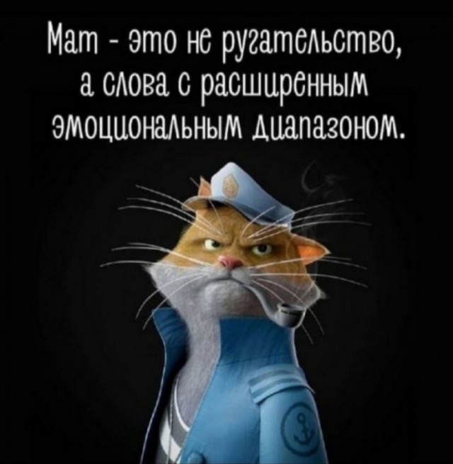 Баянисто-небаянистый юмор 17.05.22