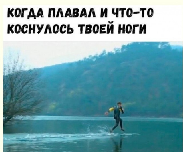 Баянисто-небаянистый юмор 7.06.22