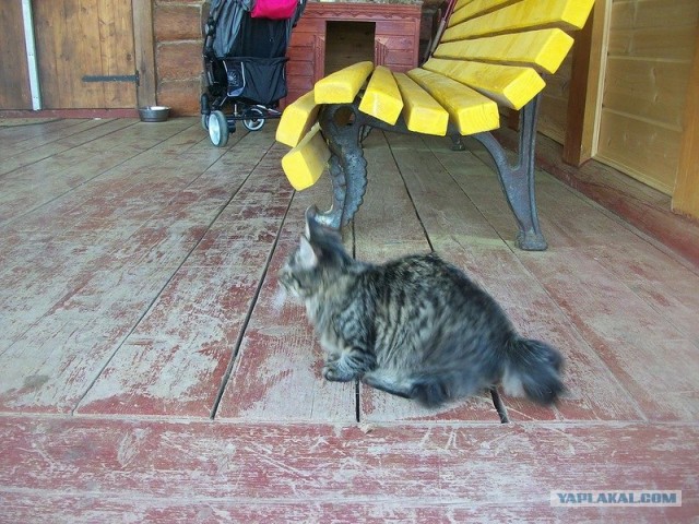 Праздник Ярилы Вешнего в Славянском Кремле