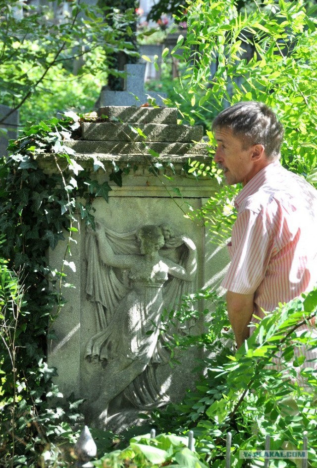 Славный город Львов