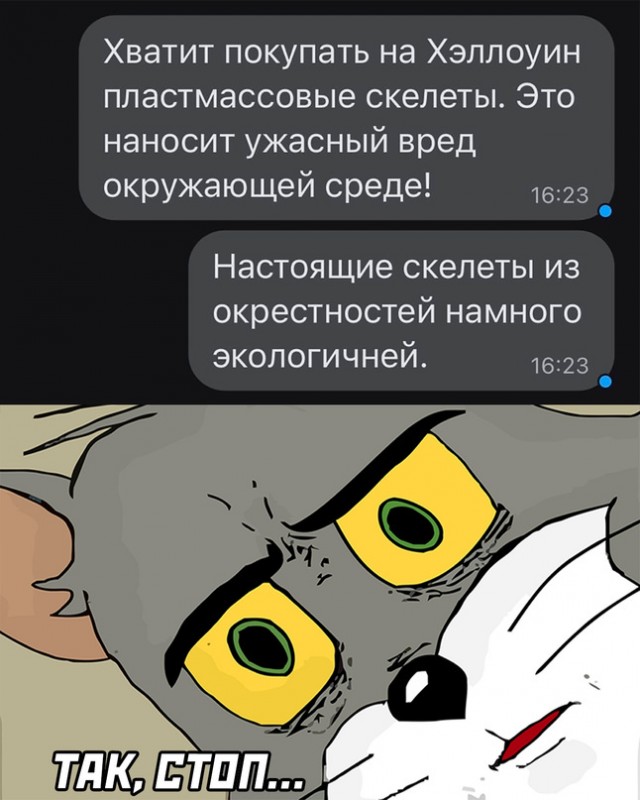 Весёлый полтишок 16.09.22