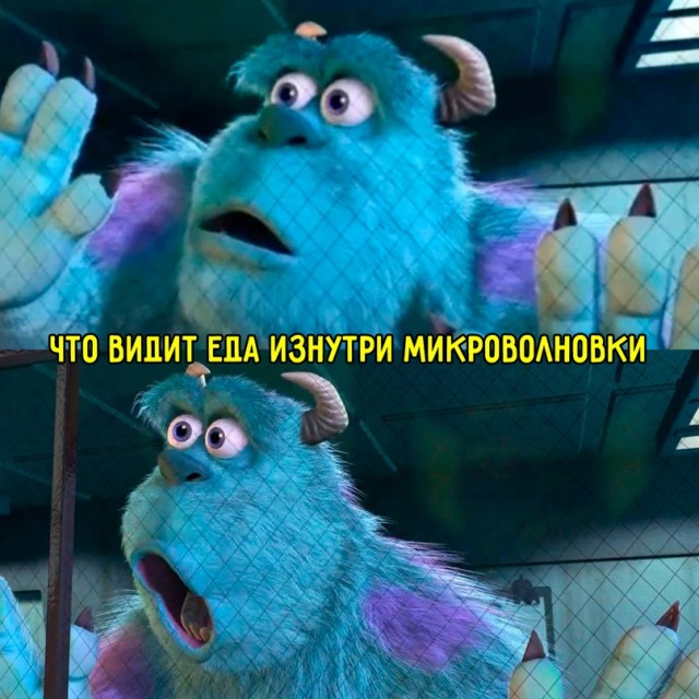 Весёлый полтишок 11.01.23