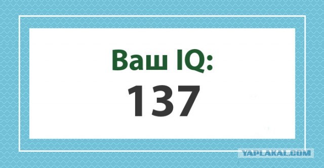 А какой у Вас IQ?