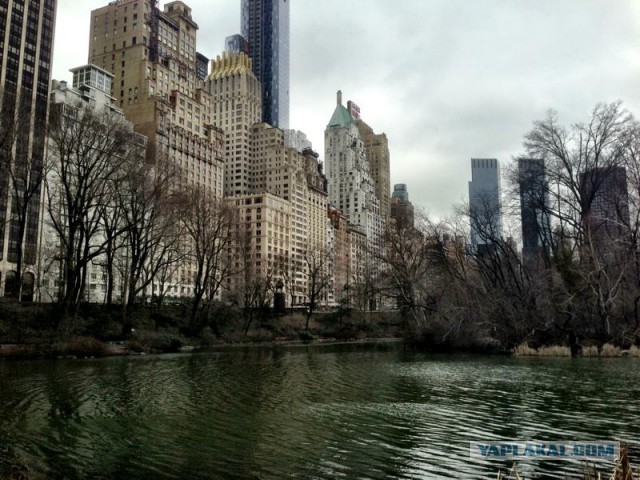 Как я в NYC ездил.