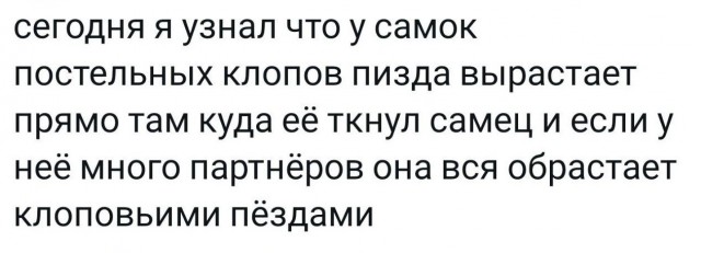 Всего понемногу. Пятничный выпуск