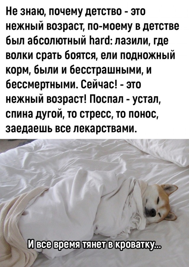 Так себе картинки 30.06.23