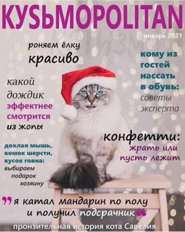 Весёлый полтишок 02.01.24