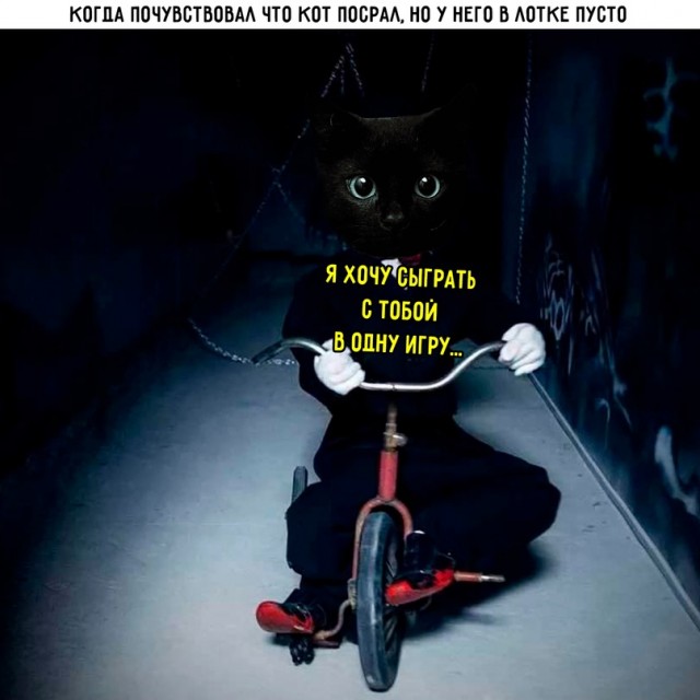 Весёлый полтишок 18.01.24