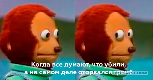 Навальный в ответ на вопрос, что делать, если его убьют