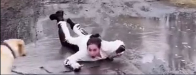Хозяйка, ну ты чего?