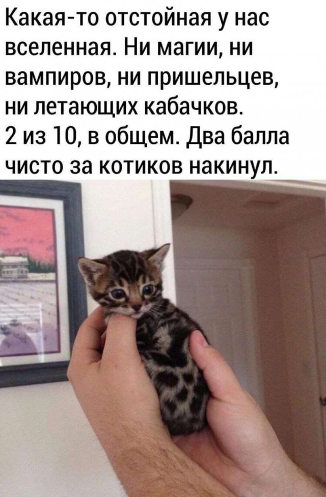 Никакие картинки