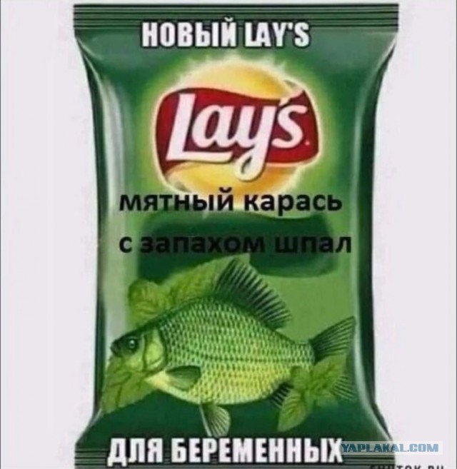 Караси.