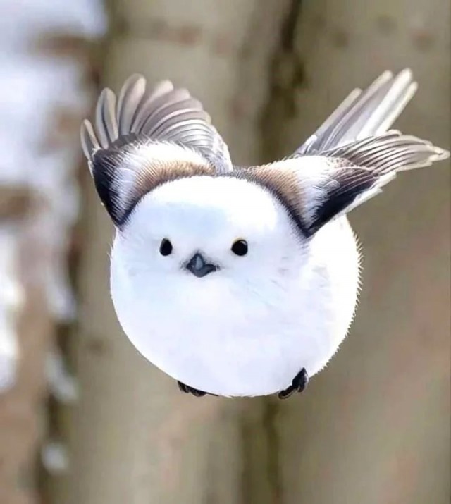 ФотоВинегрет