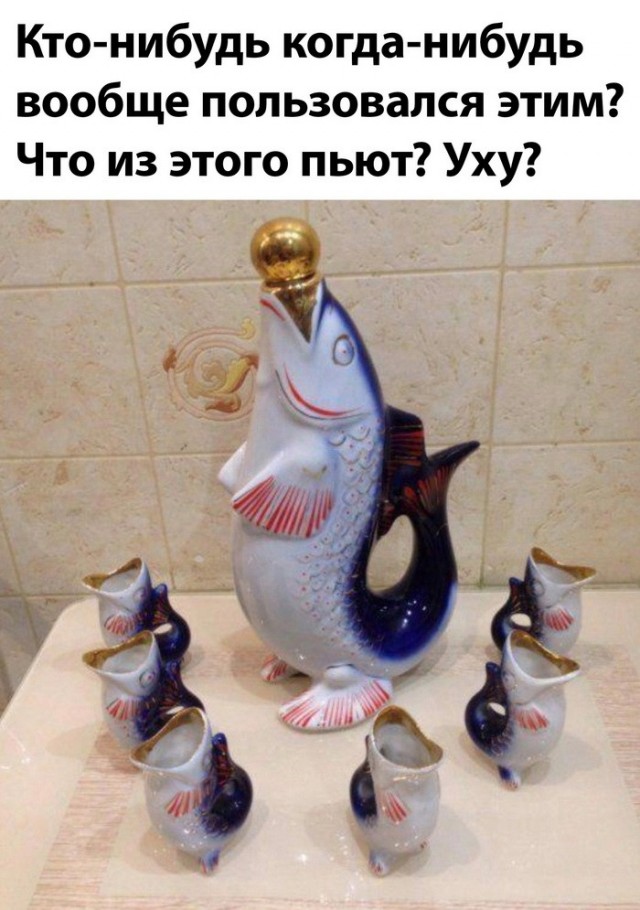 Весёлый полтишок 27.08.24