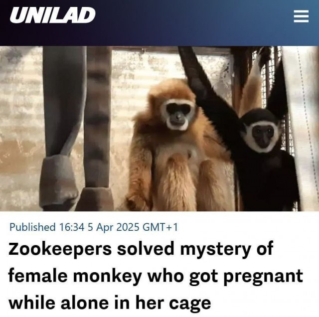 В японском зоопарке зоологи наблюдали «чудо непорочного зачатия»